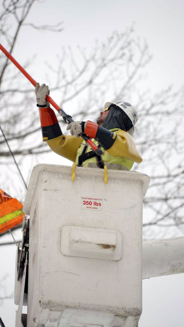 Storm Restoration Line Clearance