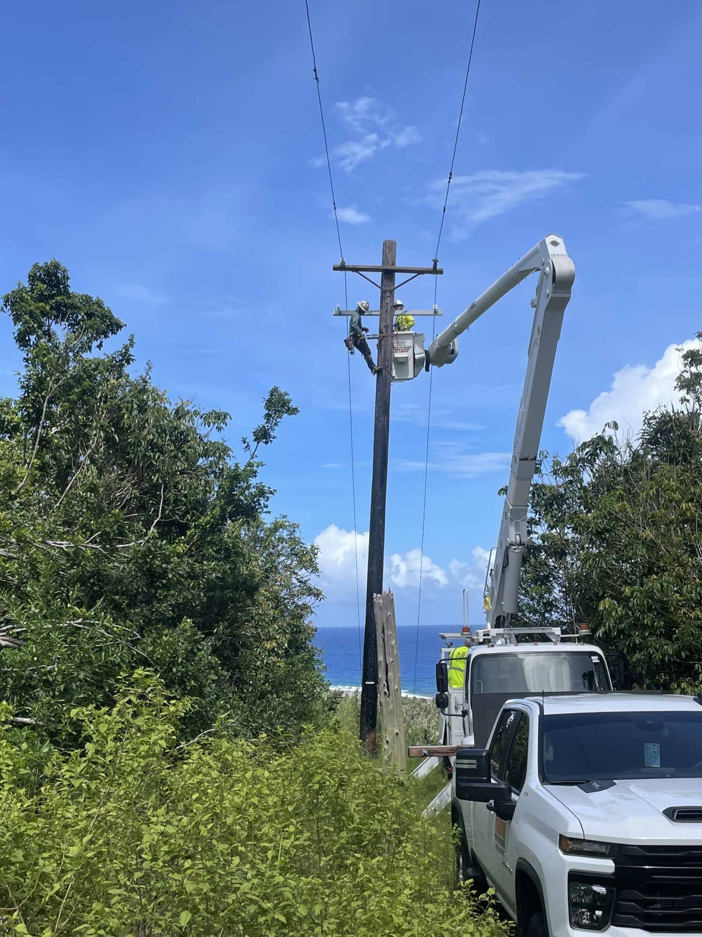 PUC-Working-Contractor-Utility-Field